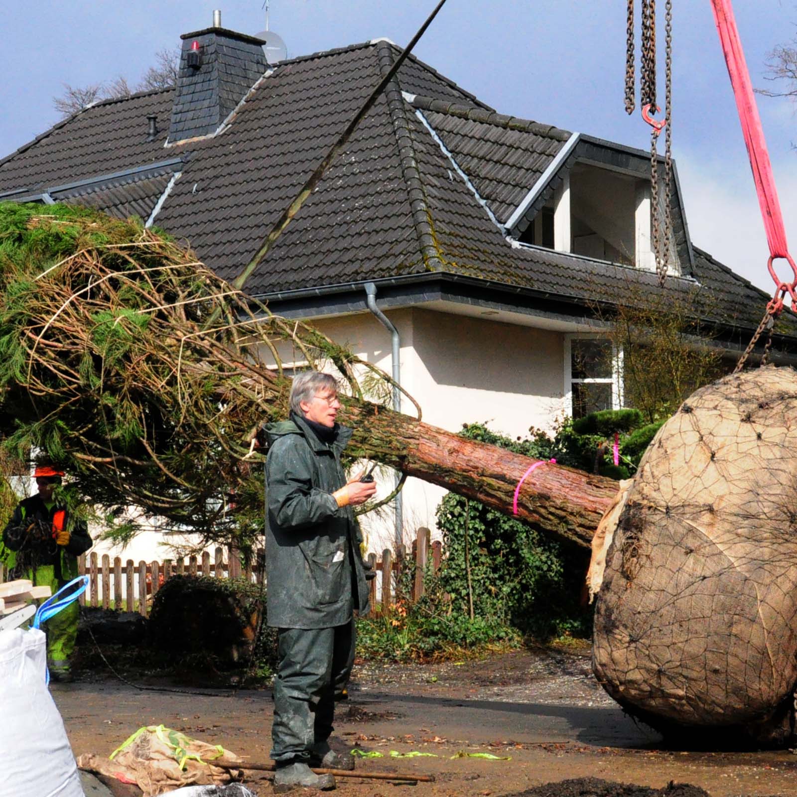 Firma für Baum-Pflanzungen